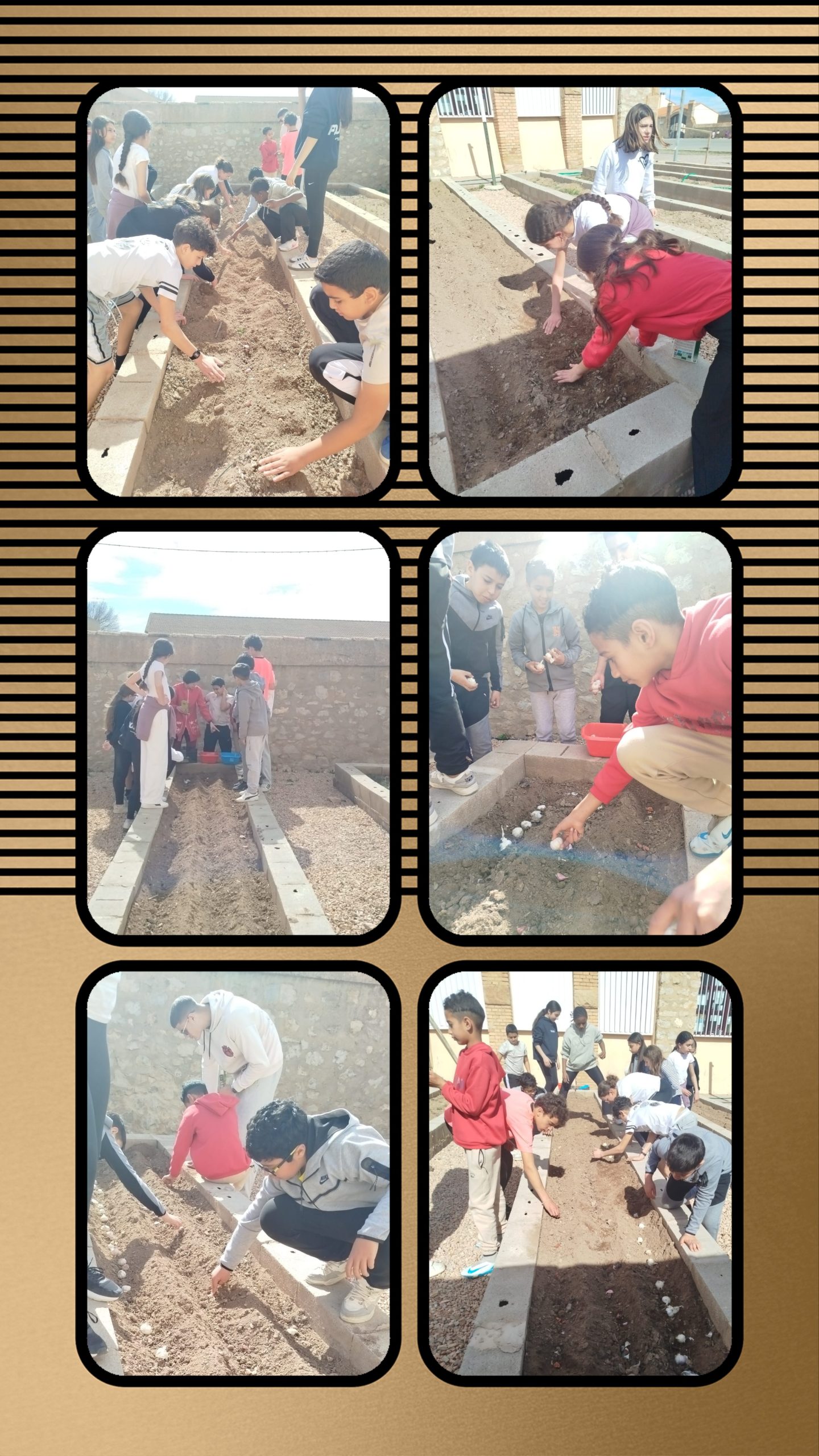 Actividad del huerto 2