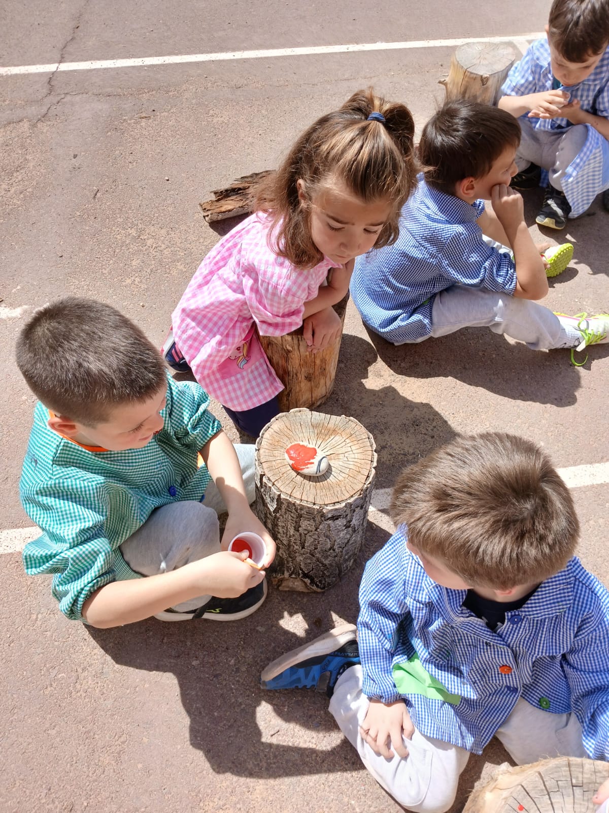 Proyecto de primavera e insectos 1