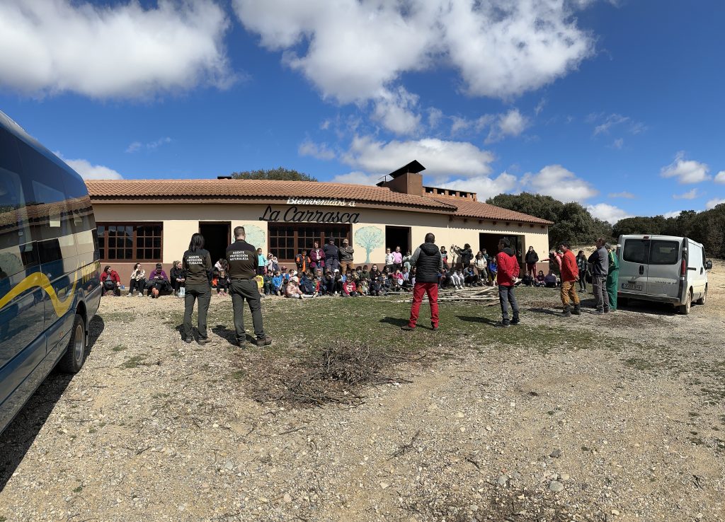DÍA DEL ARBOL